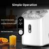 imageAntarctic Star Nugget Ice Maker Countertop with Soft Chewable Ice Portable Sonic Ice Maker with Basket and Scoop Removable Top Cover AutoCleaning for HomePartyRVCamping Stainless Steel SilverWhite