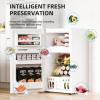 imageAntarctic Star Compact Refrigerator with Freezer2 Door Mini FridgeAdjustable ShelfSmall Fridge for Bedroom Office Dorm Kitchen32 CuFtBLACKWHITE