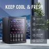 imageAntarctic Star 26 cuft Wine CoolerCellar Mini Beverage Refrigerator for Wine Beer Soda Clear Front Glass Door Small Drink Touch Screen for Bar Office Home with Quiet Compressor Freestanding