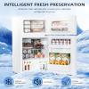 imageAntarctic Star 32 CuFtMini Refrigerator with FreezerDouble Door Mini FridgeCompact RefrigeratorAdjustable ThermostatMini Refrigerator for BedrooOfficeDormKitchenGRAYWHITE