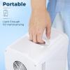 imageAntarctic Star Compact Refrigerator Portable Mini Fridge Skin Care 4L Capacity6 Cans for Bedroom Car Office amp Dorm Small Cooler for Cosmetics Magnetic Brushed Stainless Steel Door WhiteWhite