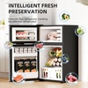 image:imageAntarctic Star 31 CuFtCompact RefrigeratorMini Fridge with Freezer2Door with Adjustable Removable Shelves For kitchenApartmentDormOfficeSILVER