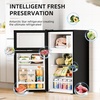 image:imageAntarctic Star Compact Mini Fridge with FreezerDouble Door with Adjustable ThermostatSmall Fridge Removable Shelves for DormOffice25 CuFtBlackBlack