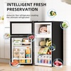 image:imageAntarctic Star Compact Mini Fridge with FreezerDouble Door with Adjustable ThermostatSmall Fridge Removable Shelves for DormOffice25 CuFtBlackSilver
