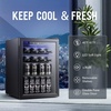 image:imageAntarctic Star Mini Fridge 130 Can Beverage Refrigerator Cooler with Glass DoorAdjustable Shelves amp Digital Temperature for Soda Beer or wine fridge for Home Office Bar 31cuftBlack
